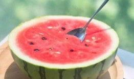 吃瓜网官网免费观看,热门剧集一网打尽！